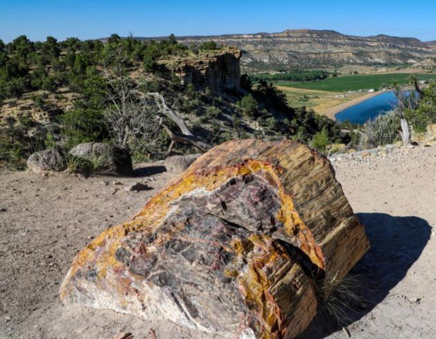 Canyons Of Escalante Rv Park Exterior foto