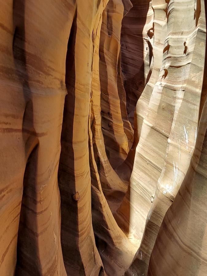 Canyons Of Escalante Rv Park Exterior foto